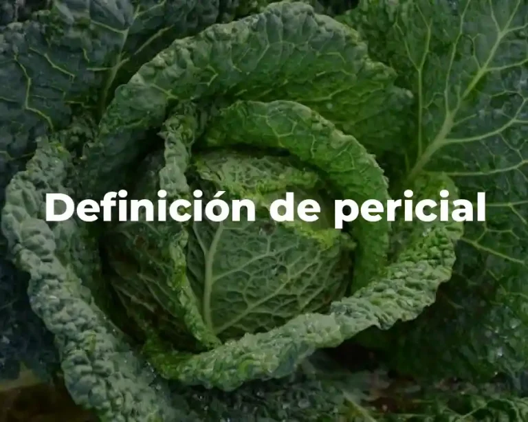 Definición de pericial