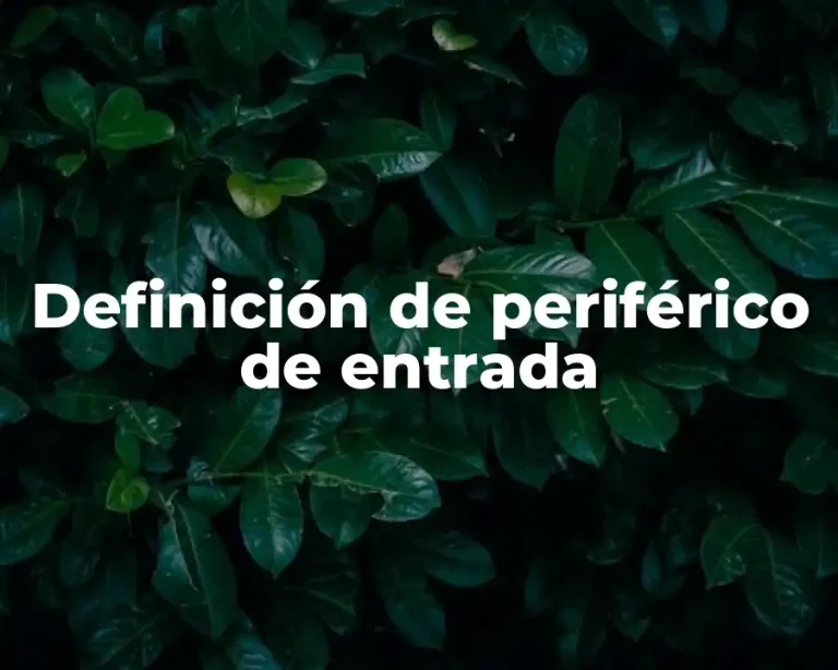 Definición de periférico de entrada
