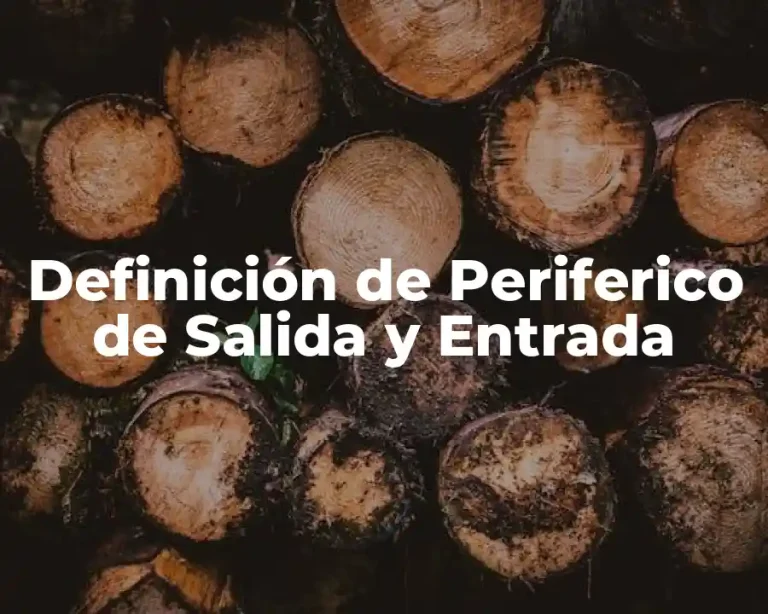 Definición de Periferico de Salida y Entrada