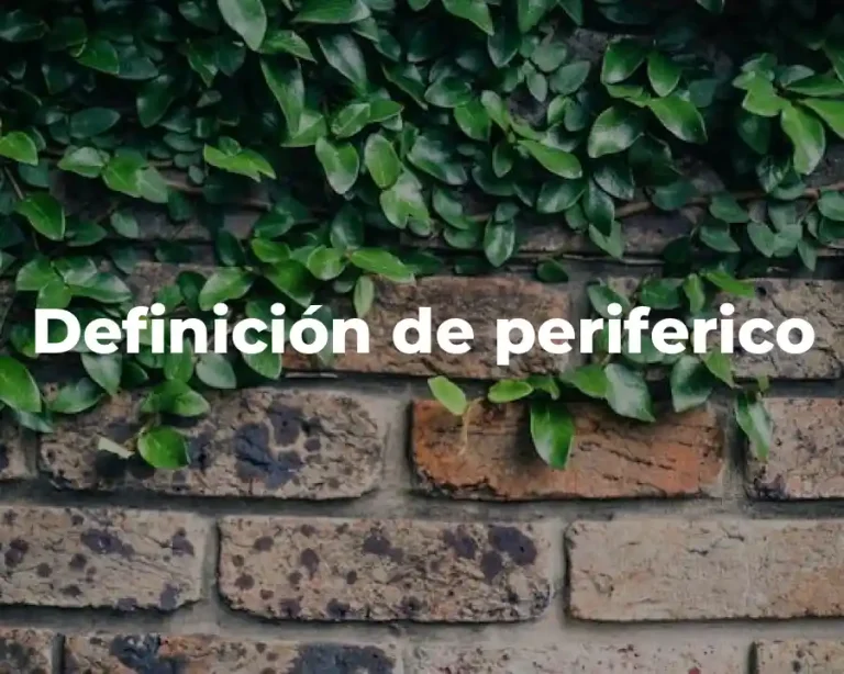 Definición de periferico