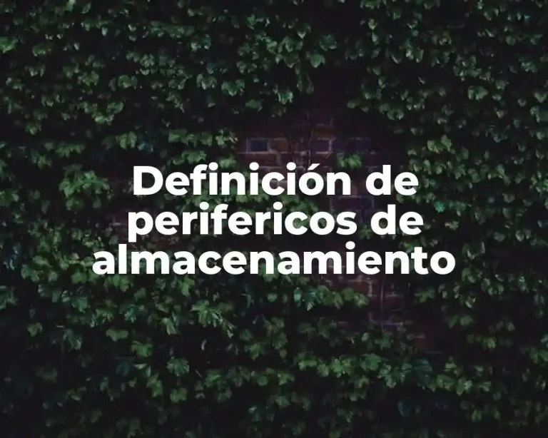 Definición de perifericos de almacenamiento