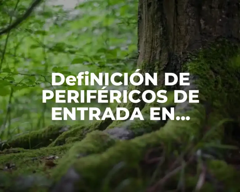 DefiNICIÓN DE PERIFÉRICOS DE ENTRADA EN INFORMÁTICA