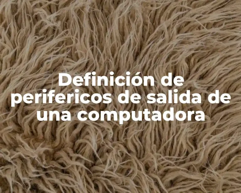 Definición de perifericos de salida de una computadora