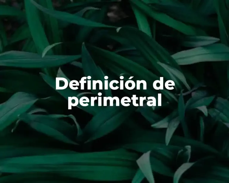 Definición de perimetral