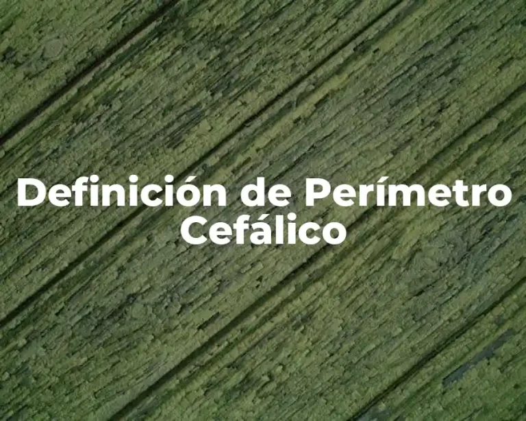 Definición de Perímetro Cefálico
