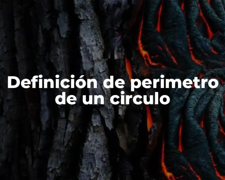 Definición de perimetro de un circulo