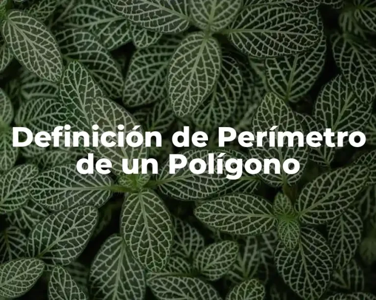 Definición de Perímetro de un Polígono