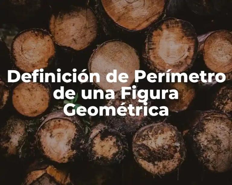 Definición de Perímetro de una Figura Geométrica