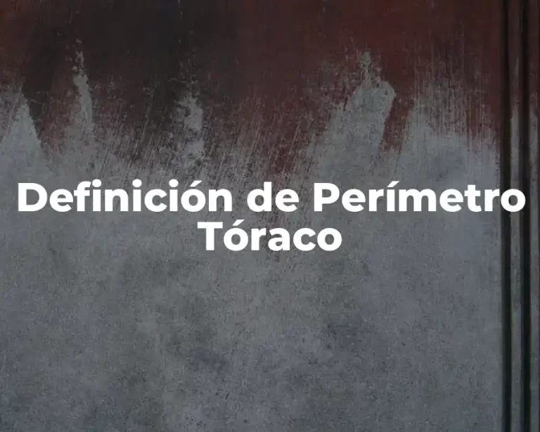 Definición de Perímetro Tóraco