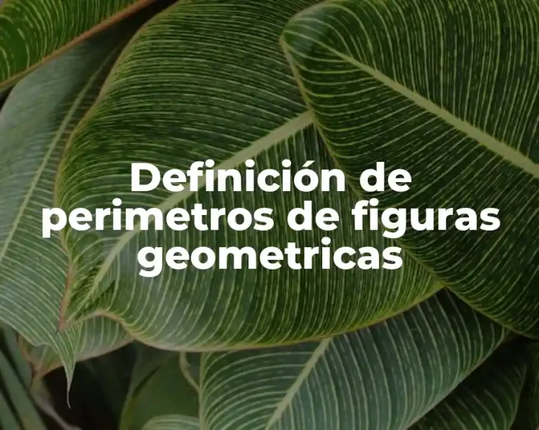 Definición de perimetros de figuras geometricas