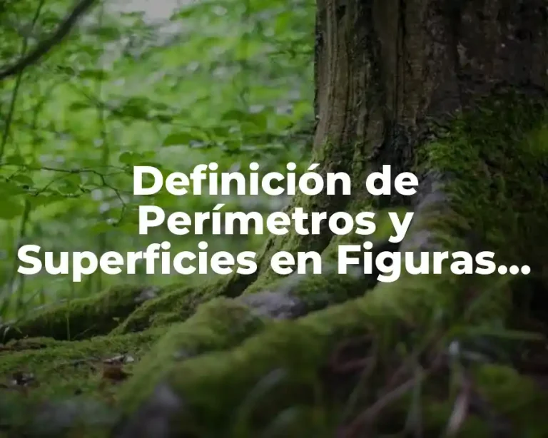Definición de Perímetros y Superficies en Figuras Planas
