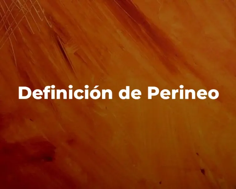 Definición de Perineo