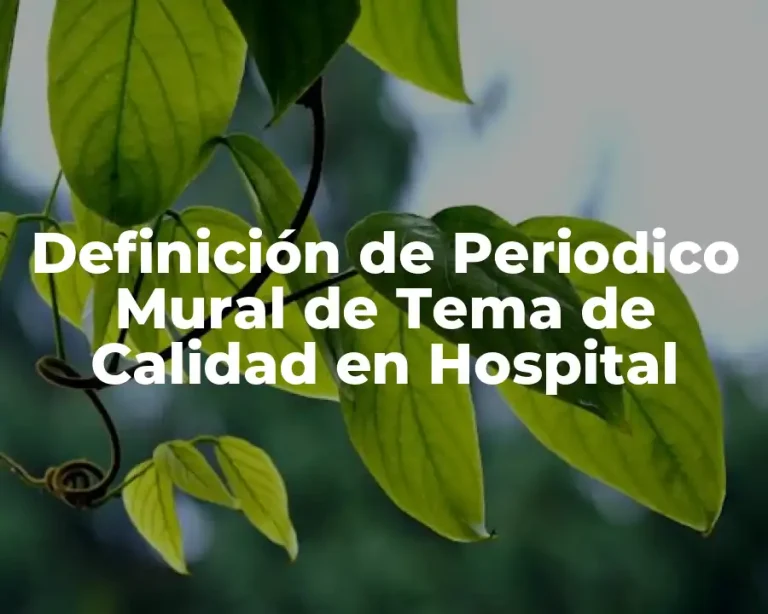 Definición de Periodico Mural de Tema de Calidad en Hospital