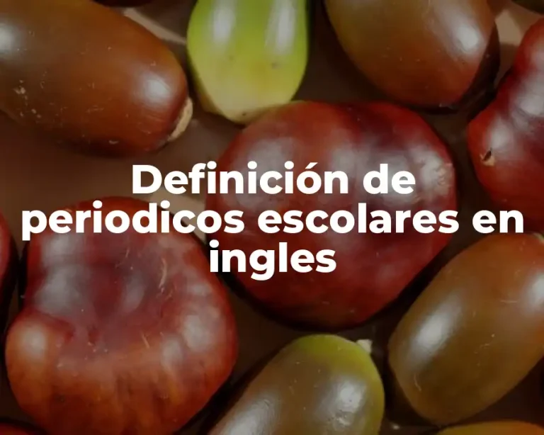 Definición de periodicos escolares en ingles