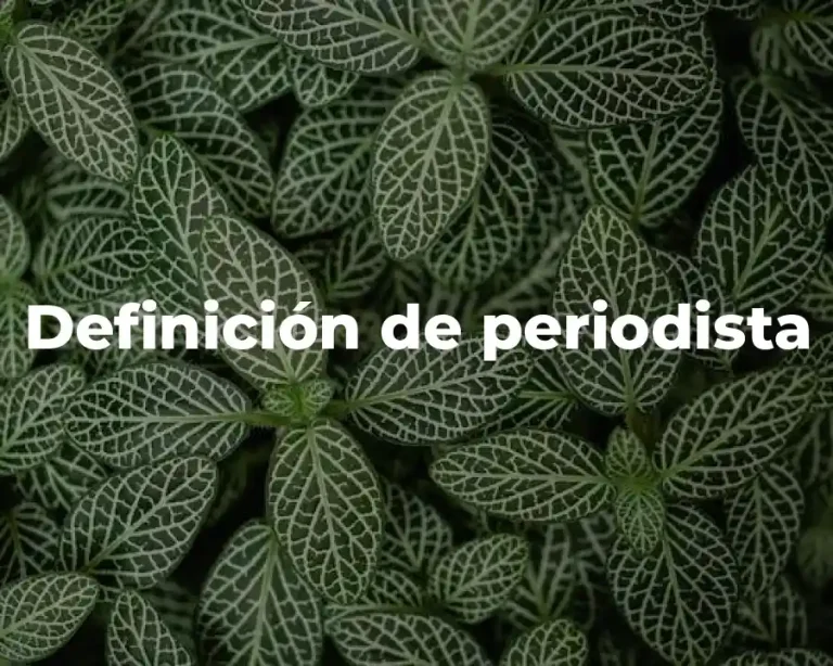 Definición de periodista