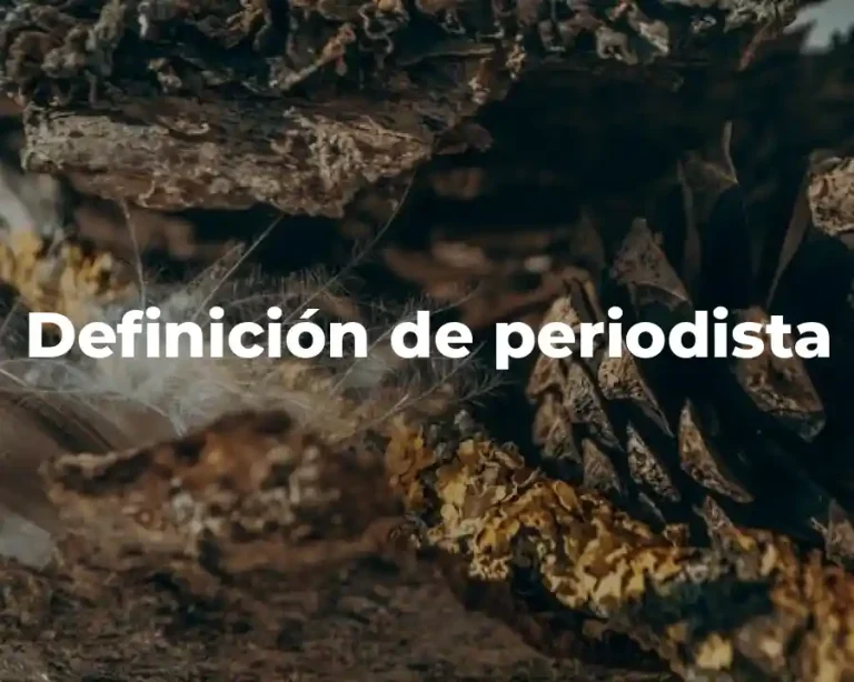 Definición de periodista