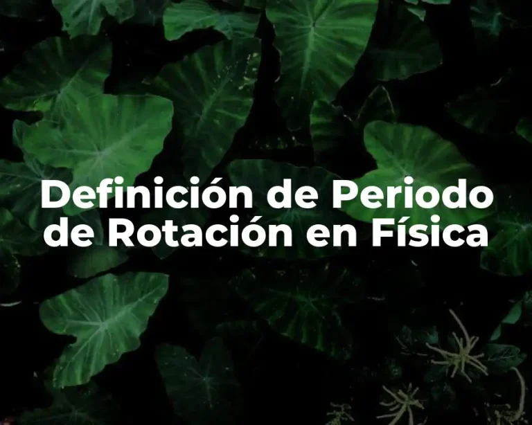 Definición de Periodo de Rotación en Física