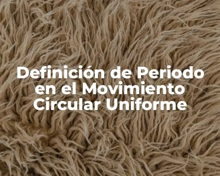 Definición de Periodo en el Movimiento Circular Uniforme