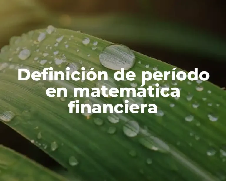 Definición de período en matemática financiera