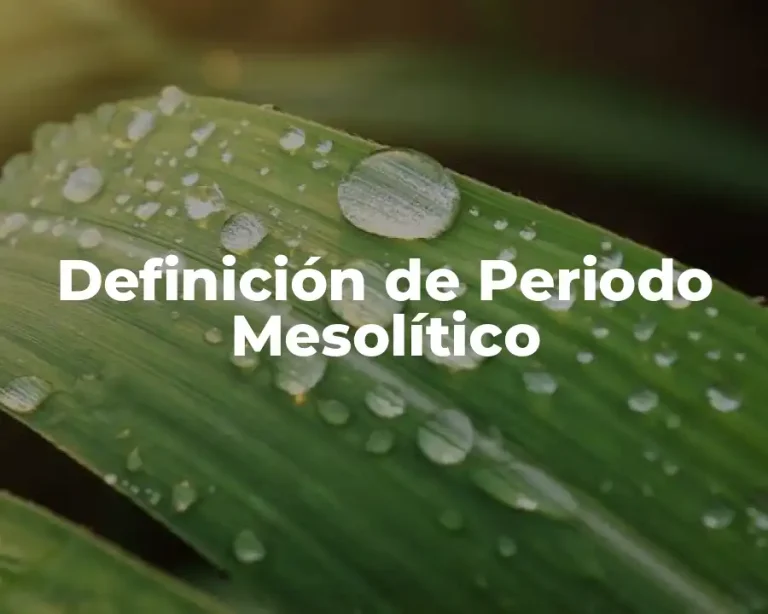 Definición de Periodo Mesolítico