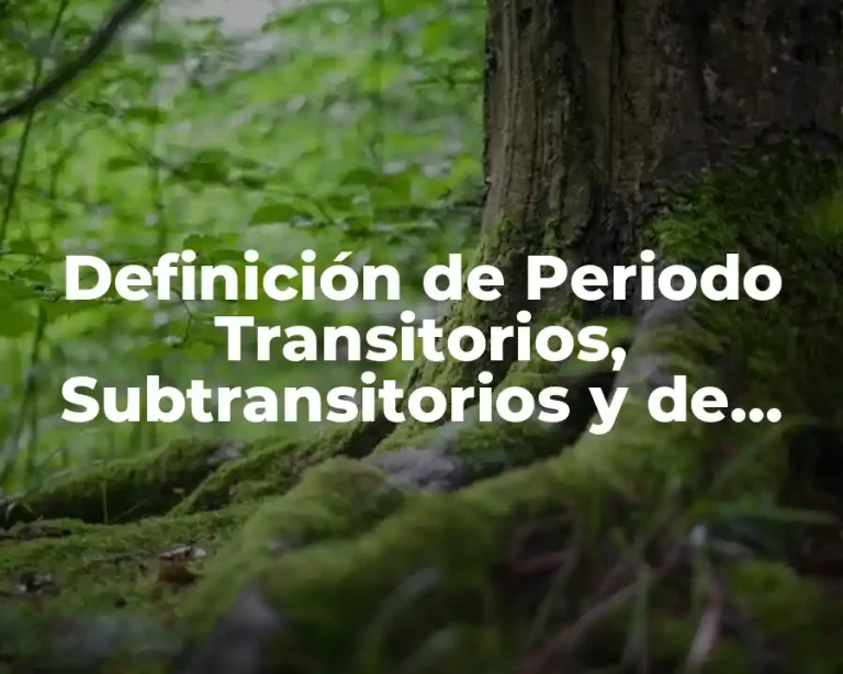 Definición de Periodo Transitorios, Subtransitorios y de Regimen Permanente