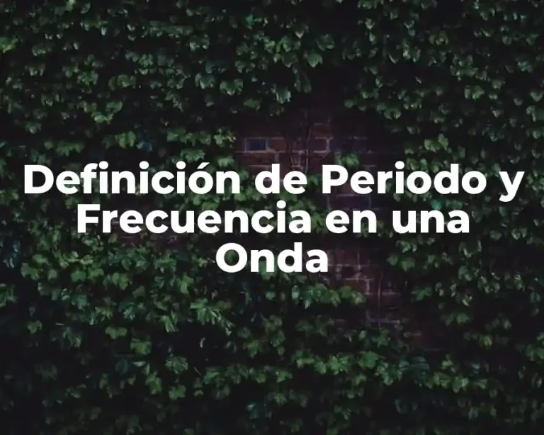Definición de Periodo y Frecuencia en una Onda