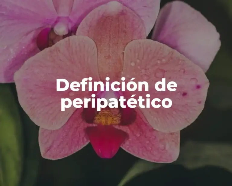 Definición de peripatético