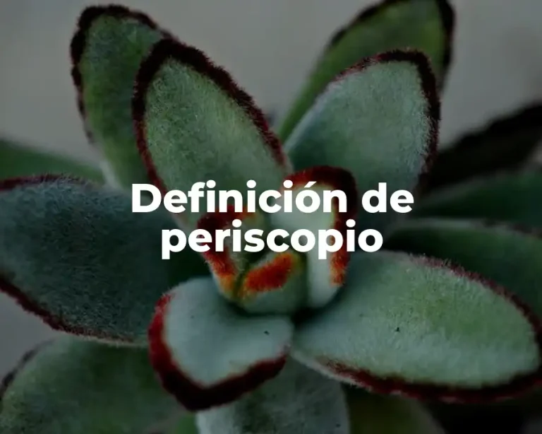 Definición de periscopio
