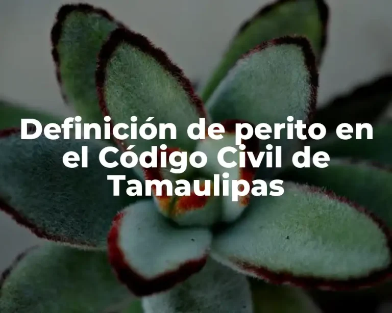 Definición de perito en el Código Civil de Tamaulipas