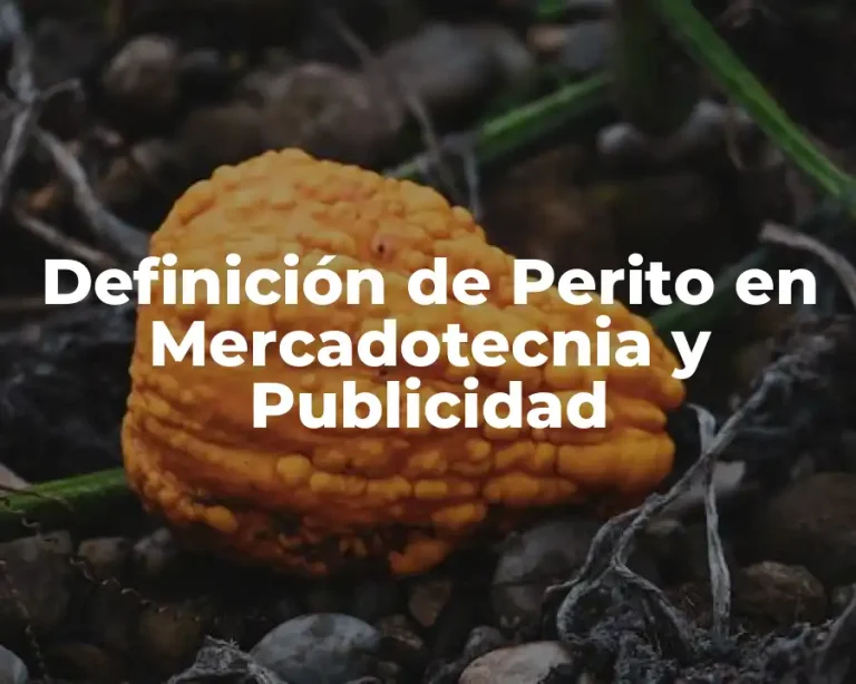 Definición de Perito en Mercadotecnia y Publicidad