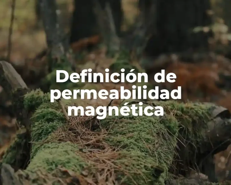 Definición de permeabilidad magnética
