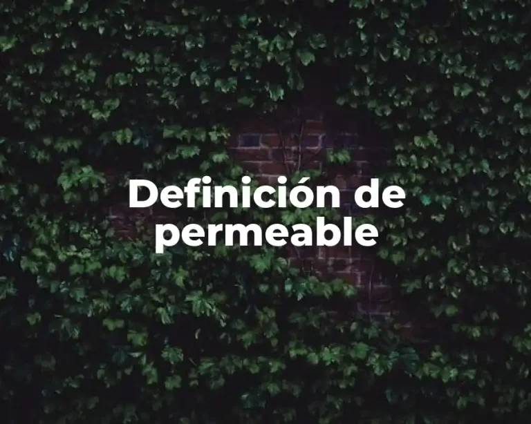 Definición de permeable