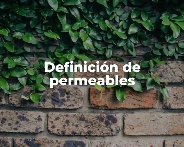 Definición de permeables