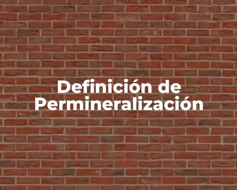 Definición de Permineralización