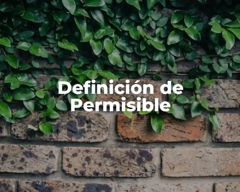 Definición de Permisible