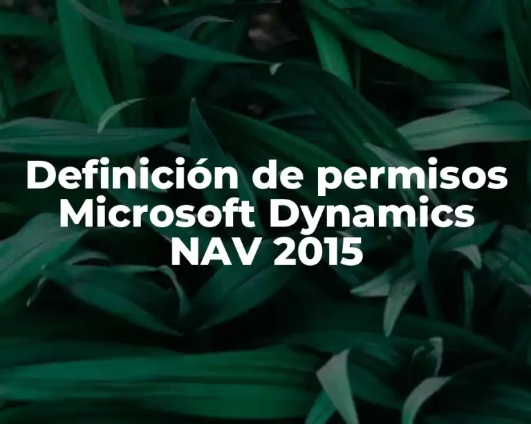 Definición de permisos Microsoft Dynamics NAV 2015