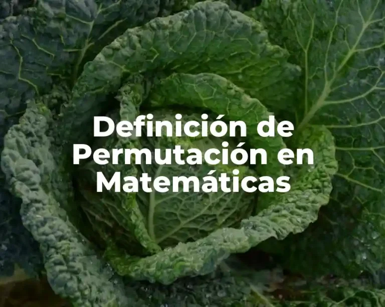 Definición de Permutación en Matemáticas