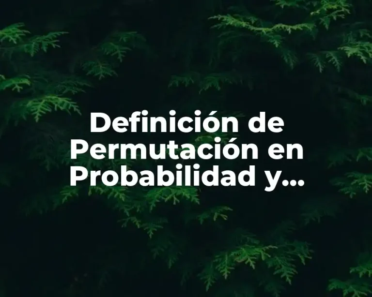 Definición de Permutación en Probabilidad y Estadística