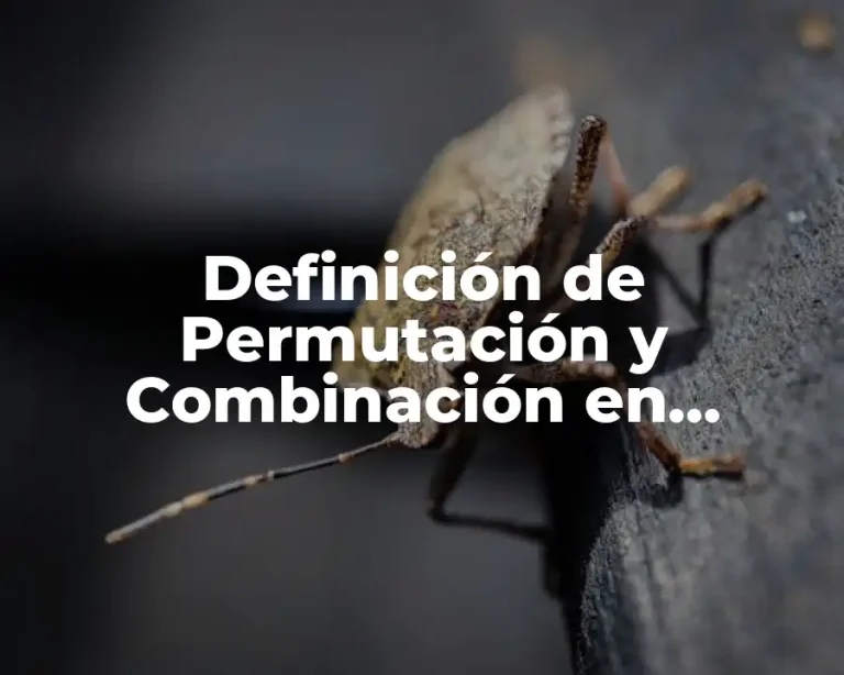 Definición de Permutación y Combinación en Estadística