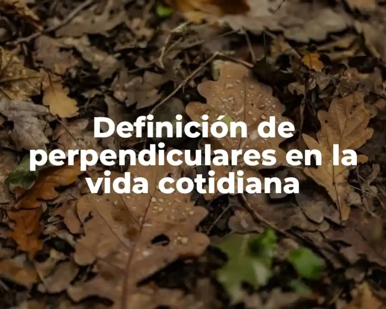 Definición de perpendiculares en la vida cotidiana
