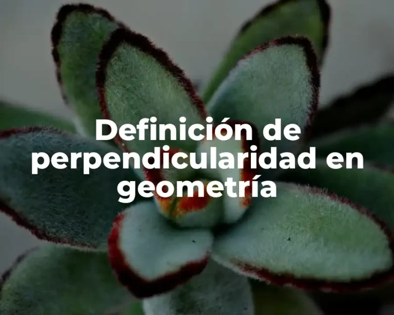 Definición de perpendicularidad en geometría