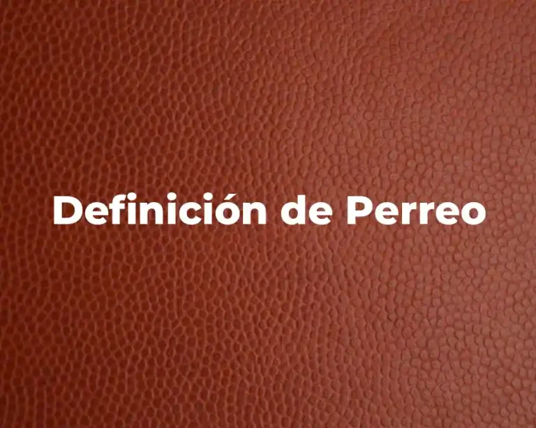 Definición de Perreo