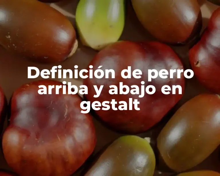 Definición de perro arriba y abajo en gestalt