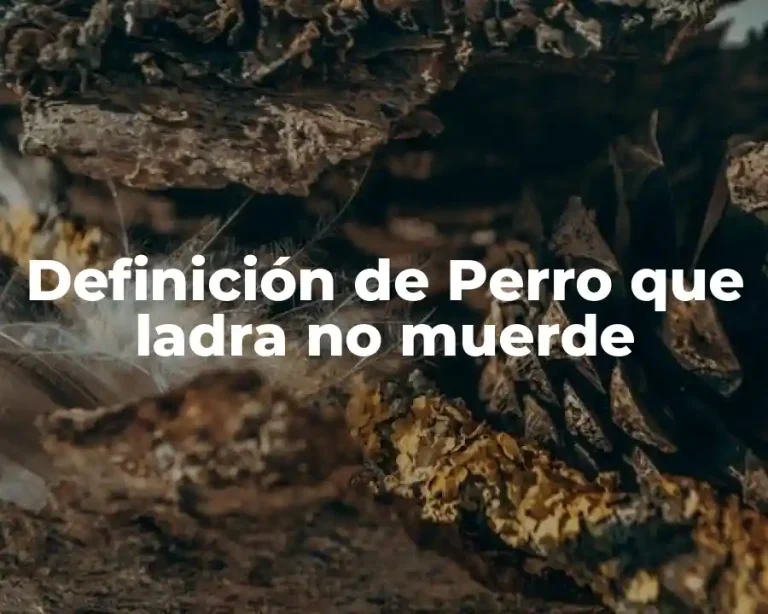 Definición de Perro que ladra no muerde