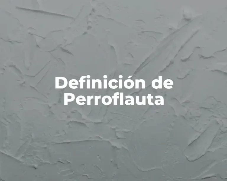 Definición de Perroflauta