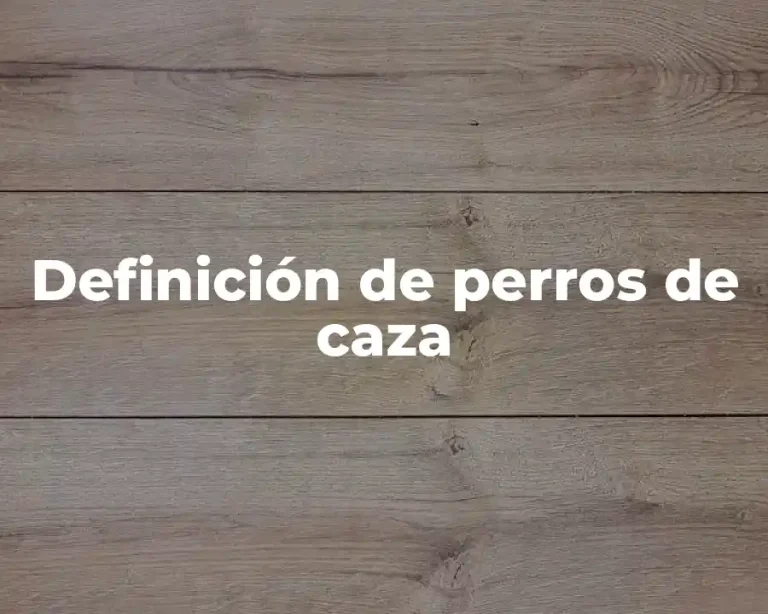 Definición de perros de caza