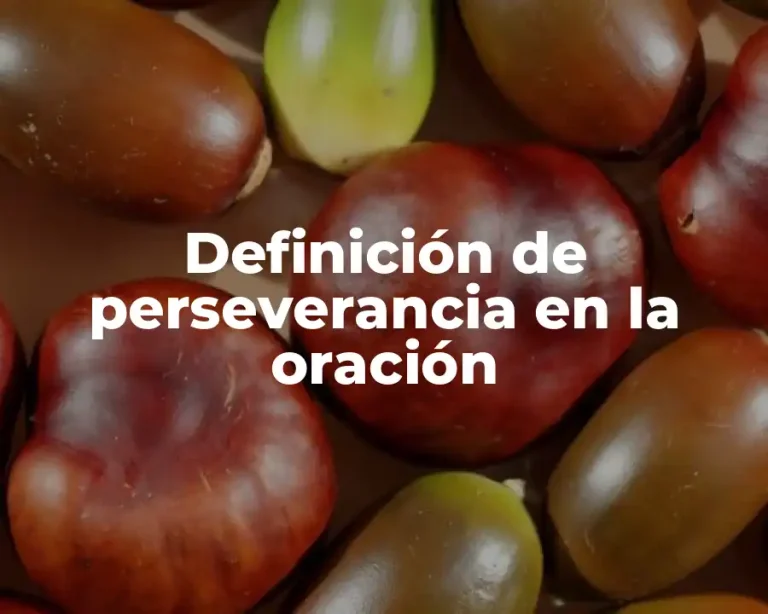 Definición de perseverancia en la oración