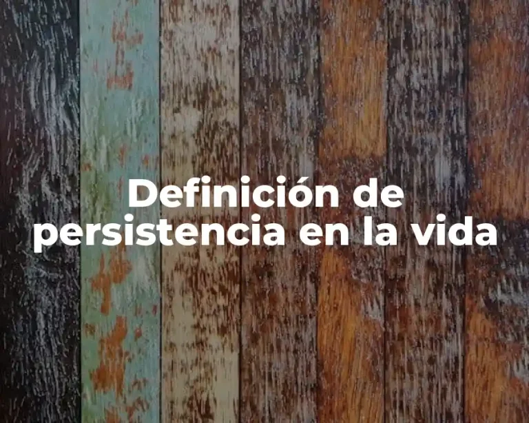 Definición de persistencia en la vida