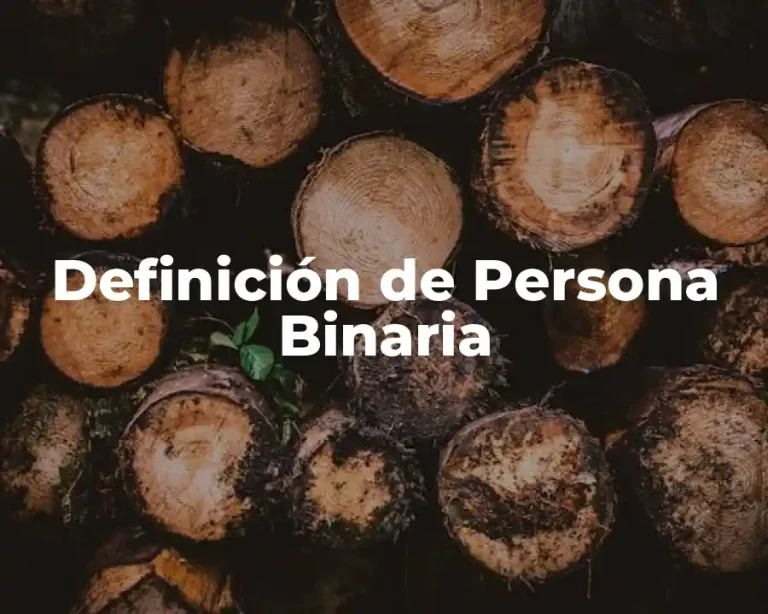 Definición de Persona Binaria