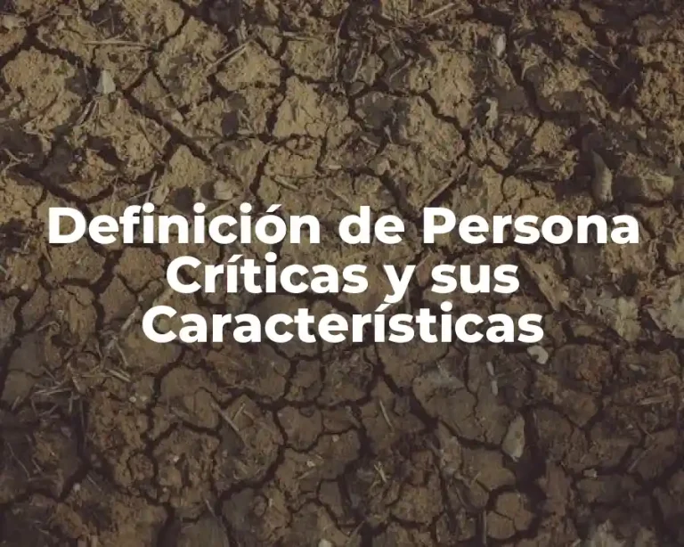 Definición de Persona Críticas y sus Características